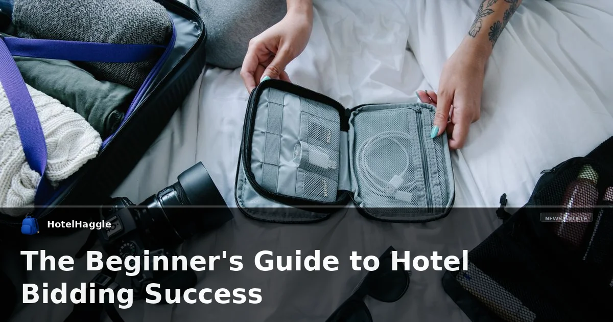 The Beginner's Guide to Hotel Bidding Success