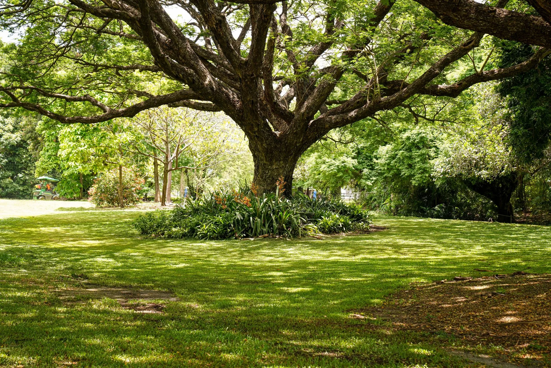 Renting 66 Acres for 500: A Corporate Holiday at the Arboretum